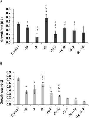 A study of the influence of iron, phosphate, and silicate in Si uptake by two Synechococcus strains